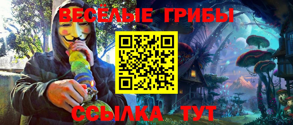 Псилоцибиновые грибы мухоморы Благовещенск