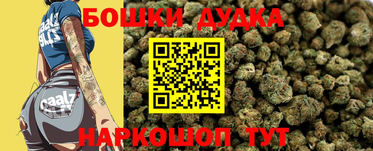 Бошки Шишки план Благовещенск